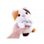 Opakujúci hovoriaci mačiatko s rybkou